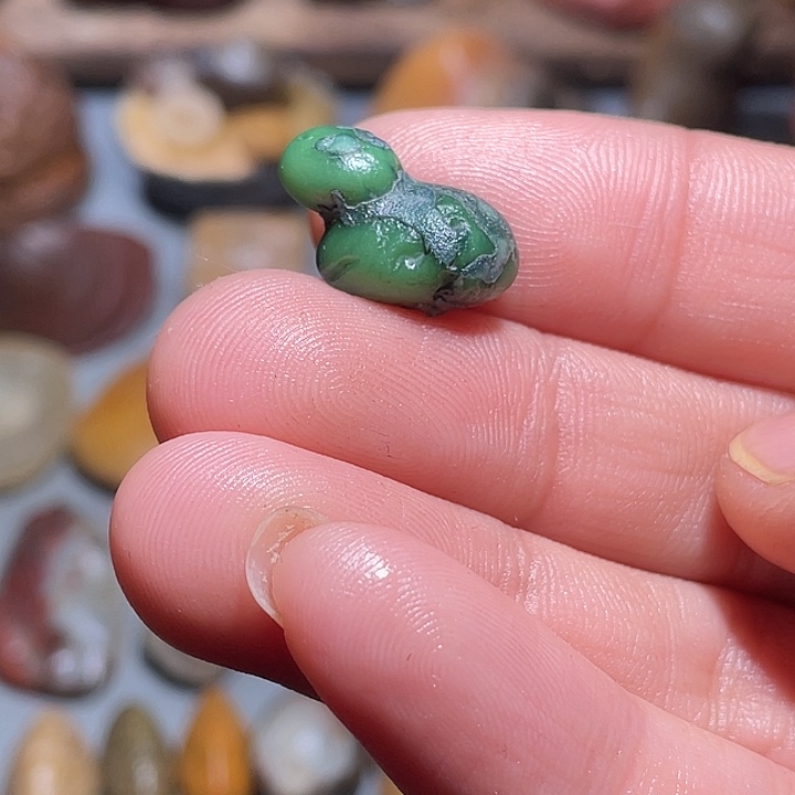 大叶紫檀（黑酸枝木类）