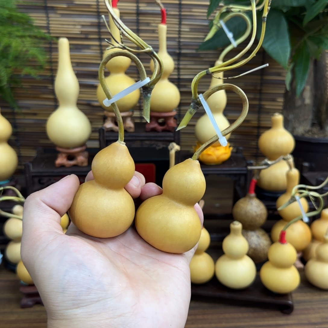 河***司啊啊啊啊啊啊啊啊啊啊