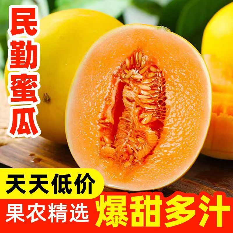 正宗甘肃民勤蜜瓜新鲜当季香甜多汁水果民勤直发带箱9~10斤