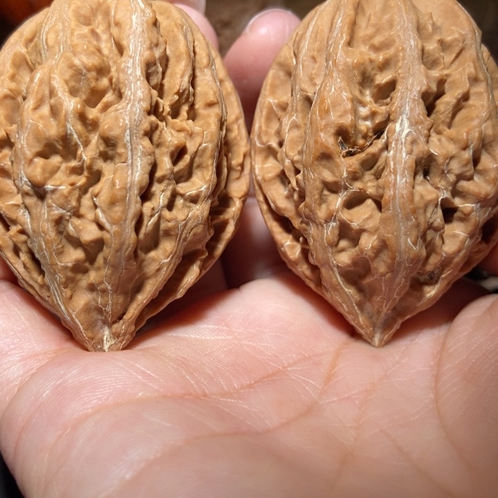 把件文玩核桃东北楸子小雪15