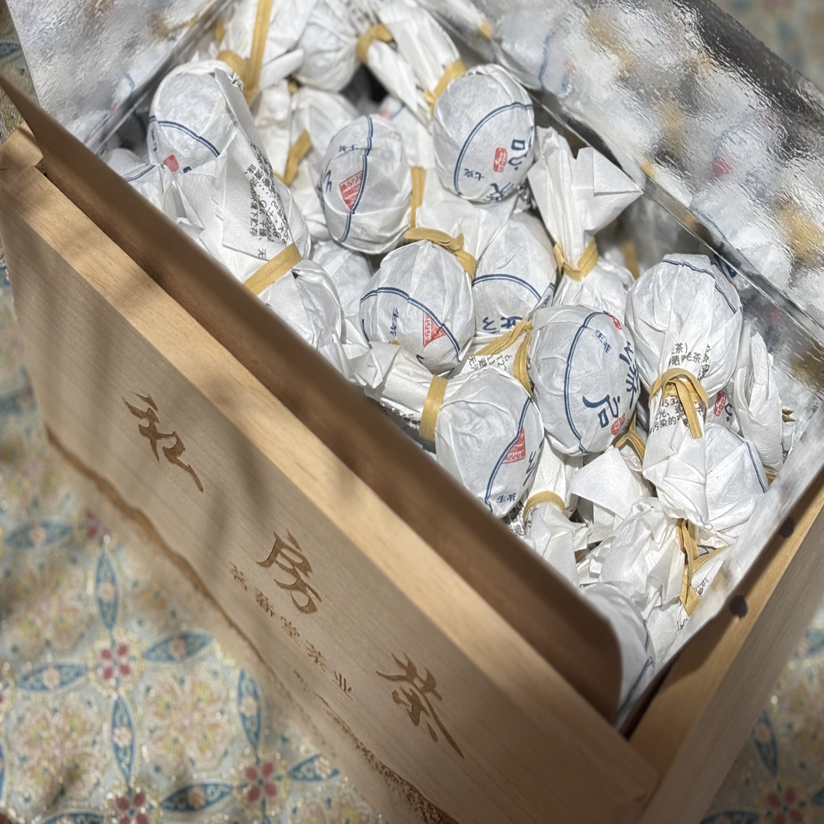 缘启——邦东2023年头春头采