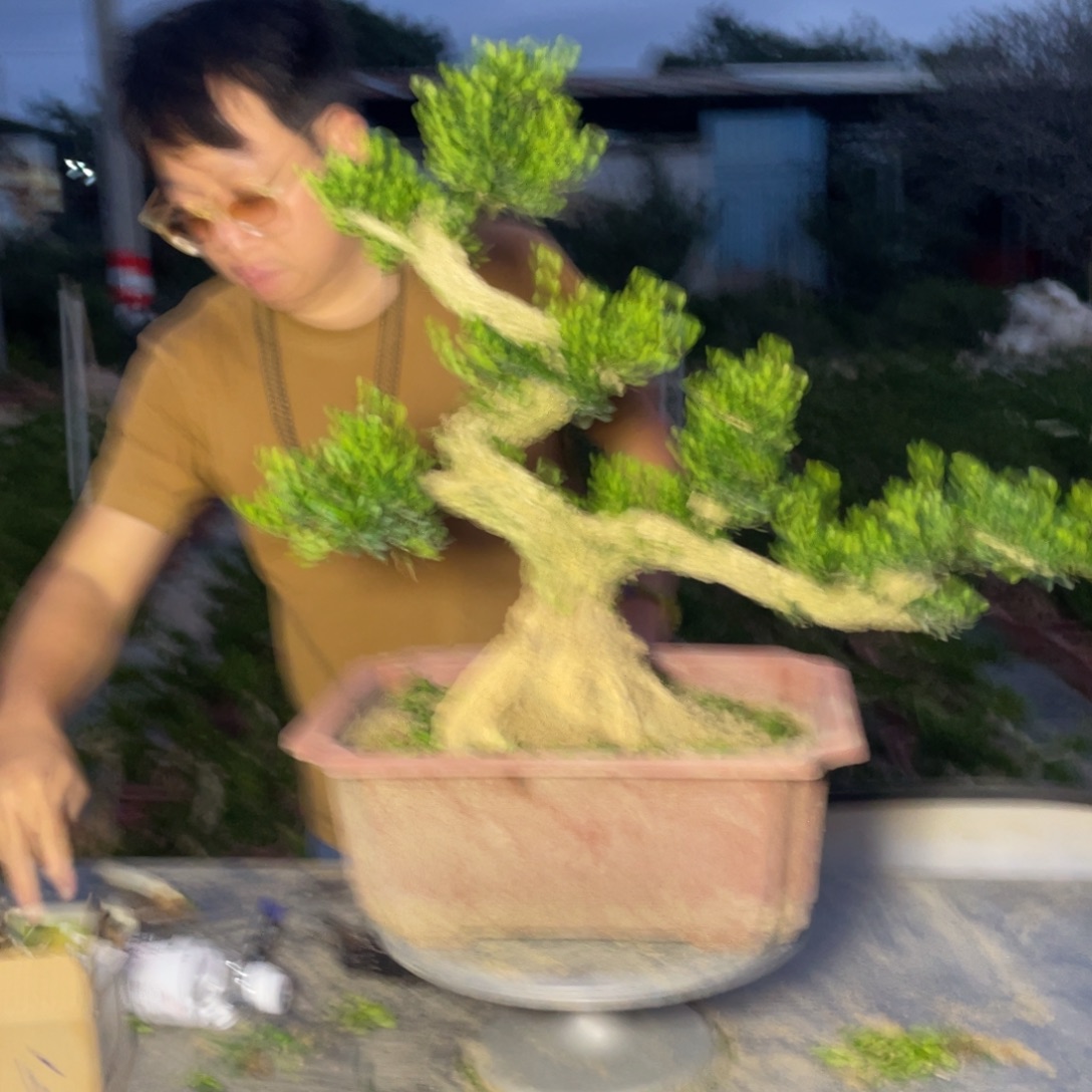 明***爷完全开放66666666666