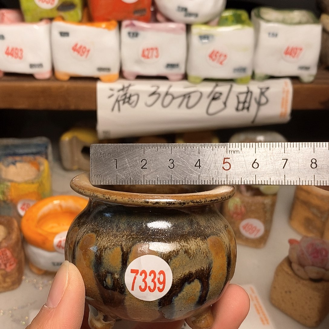 红陶拍5送一个小