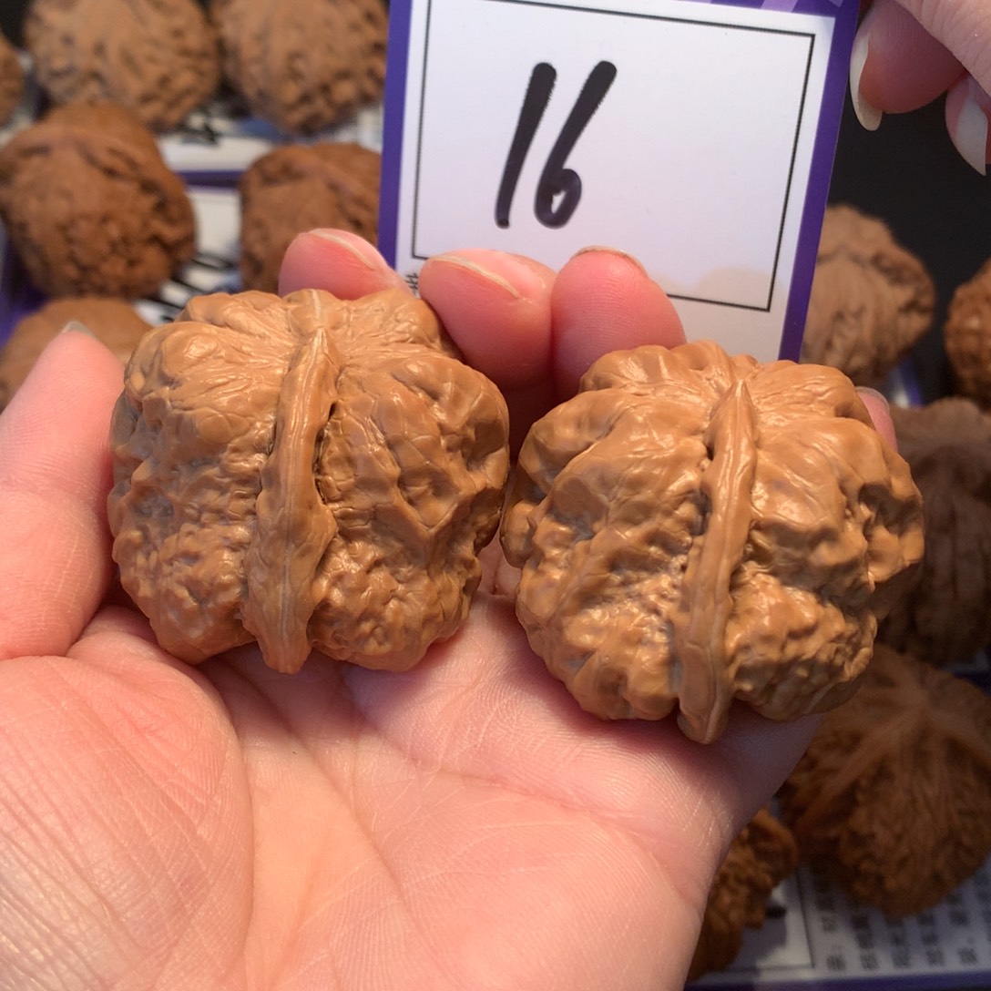 核桃16一根筋4.1全品