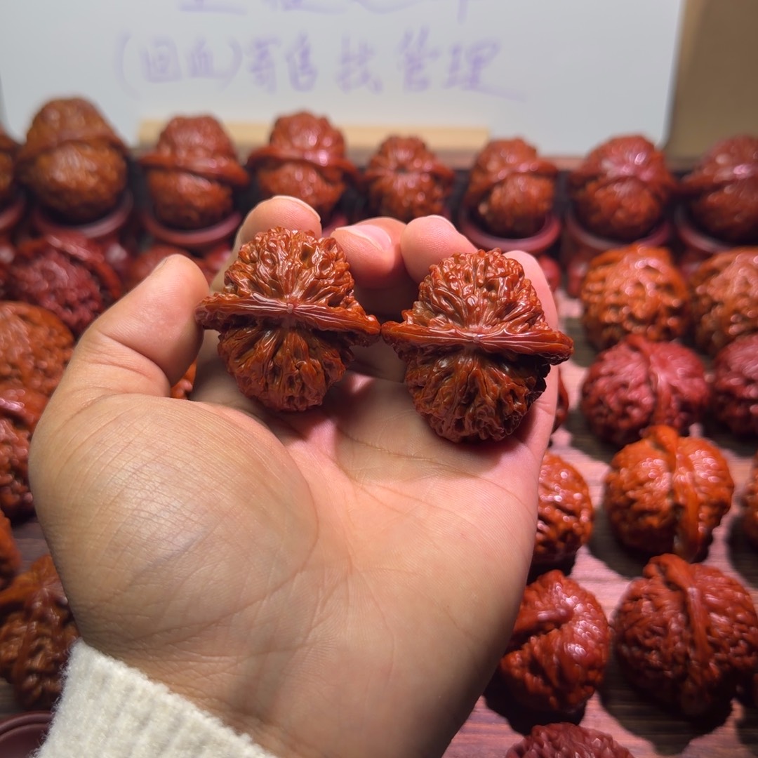 後***覺菩提籽类四座楼宝贝