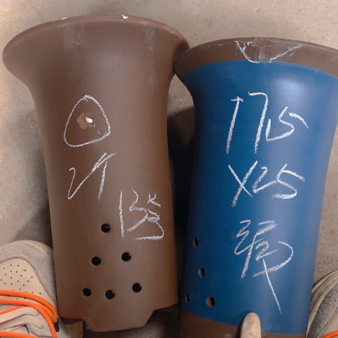 紫砂13号……………………………………