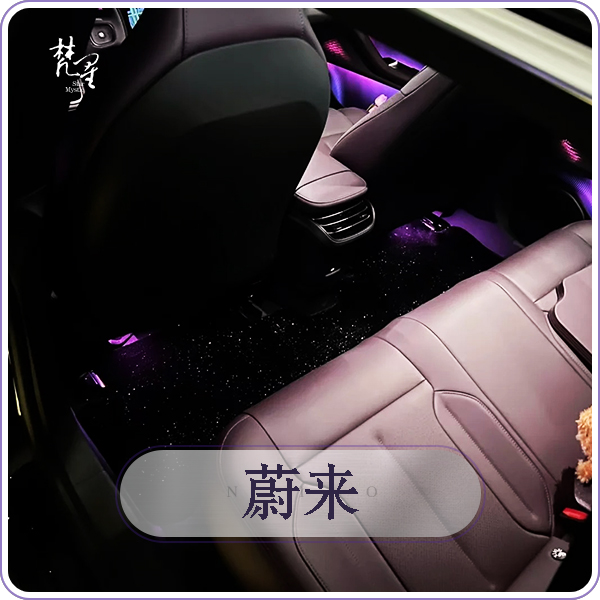 蔚来  星空脚垫 专车专用汽车脚垫