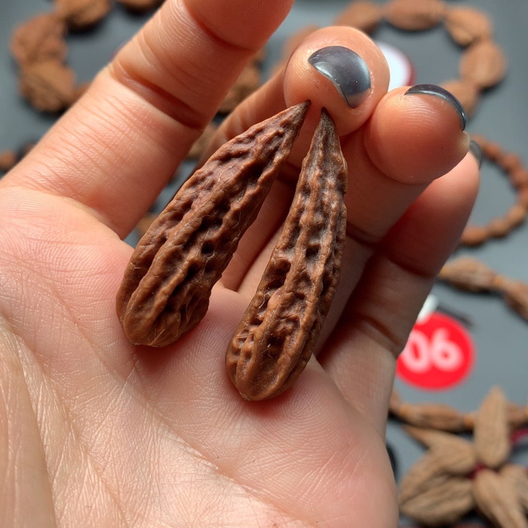 核桃15东北秋子小辣椒高41