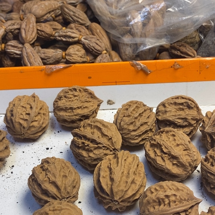 ←***-文玩核桃吊坠东北特产6