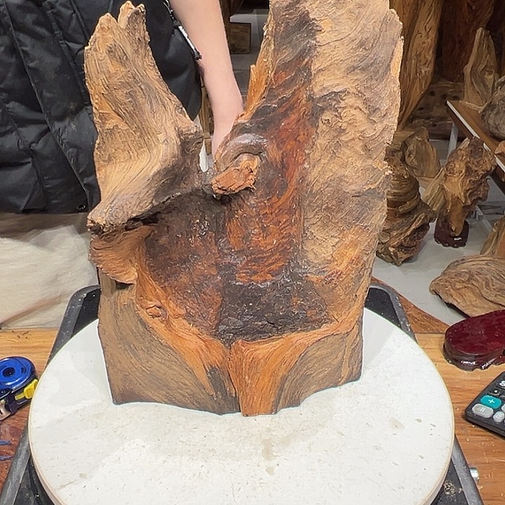 松木（琥珀木）来**网