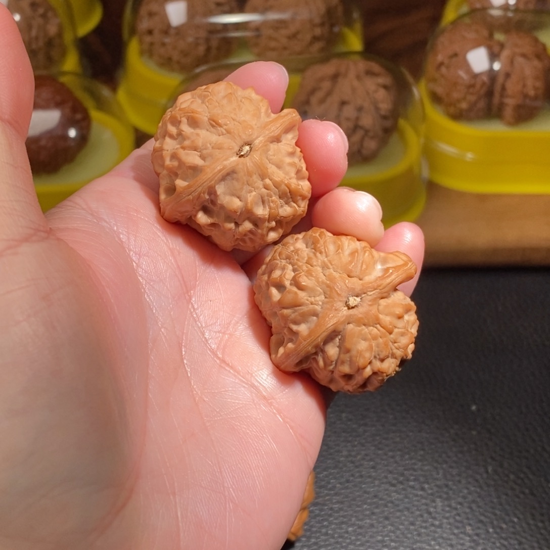 文玩核桃把件我35金鱼肚