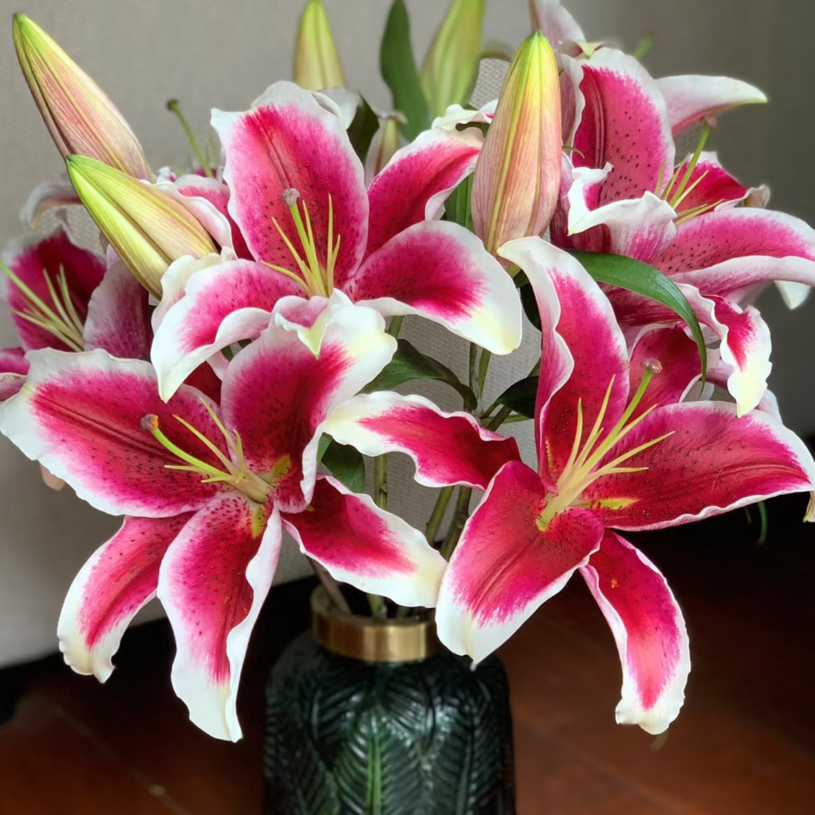 【大花苞】国王 香水百合2头5支➕营养剂