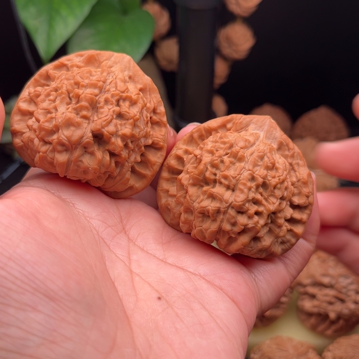 真***香把件文玩核桃官帽全品50