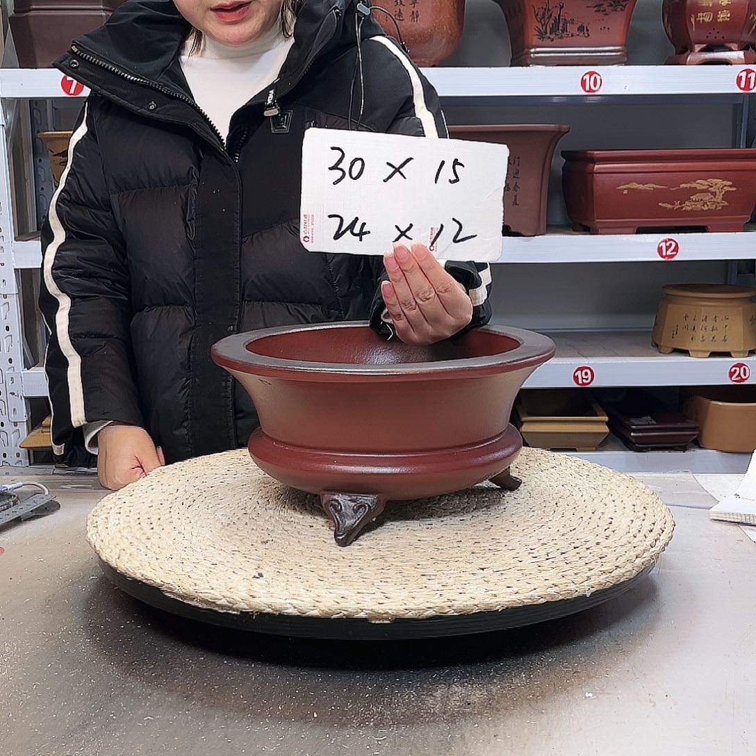 花盆紫砂紫砂花盆里