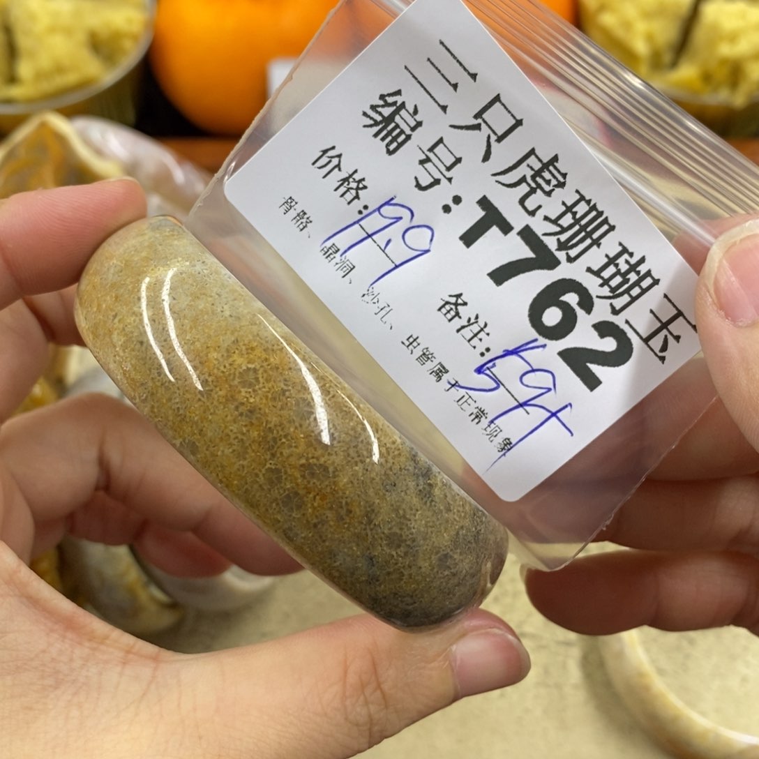 硅化珊瑚（珊瑚玉）1未镶嵌j**o