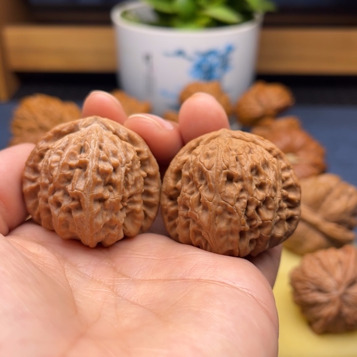 39全品三角白狮子头