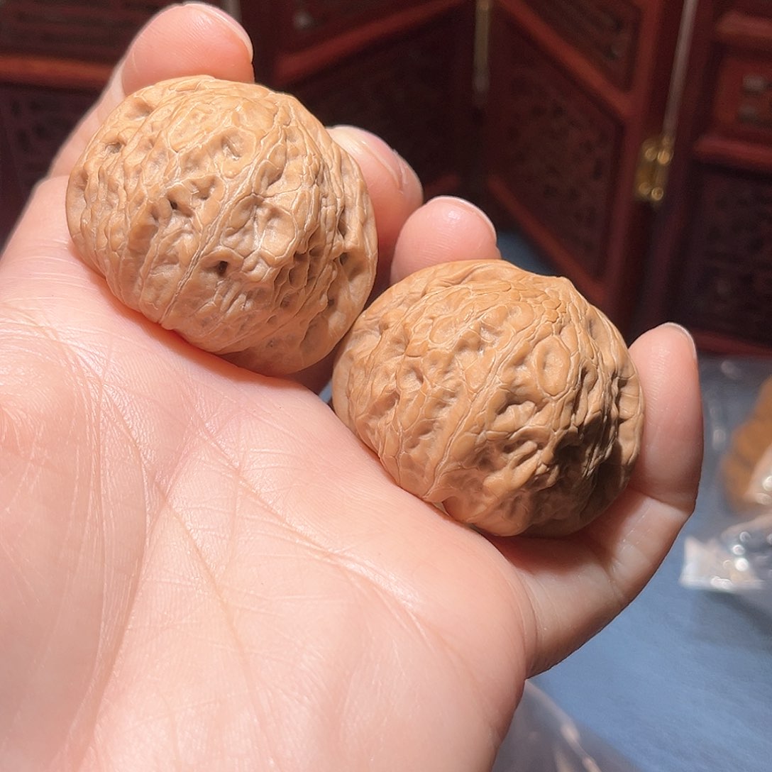 39全品铁锤……精品