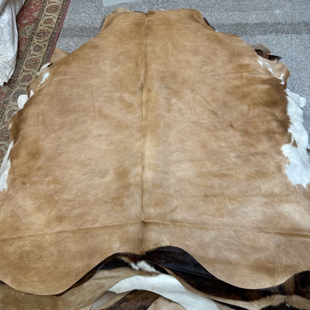 【本尼家】K1200 260×210cm专拍牛皮地毯家用轻