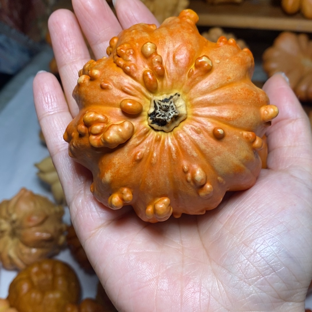 小***子疙瘩大花放漏不退不换