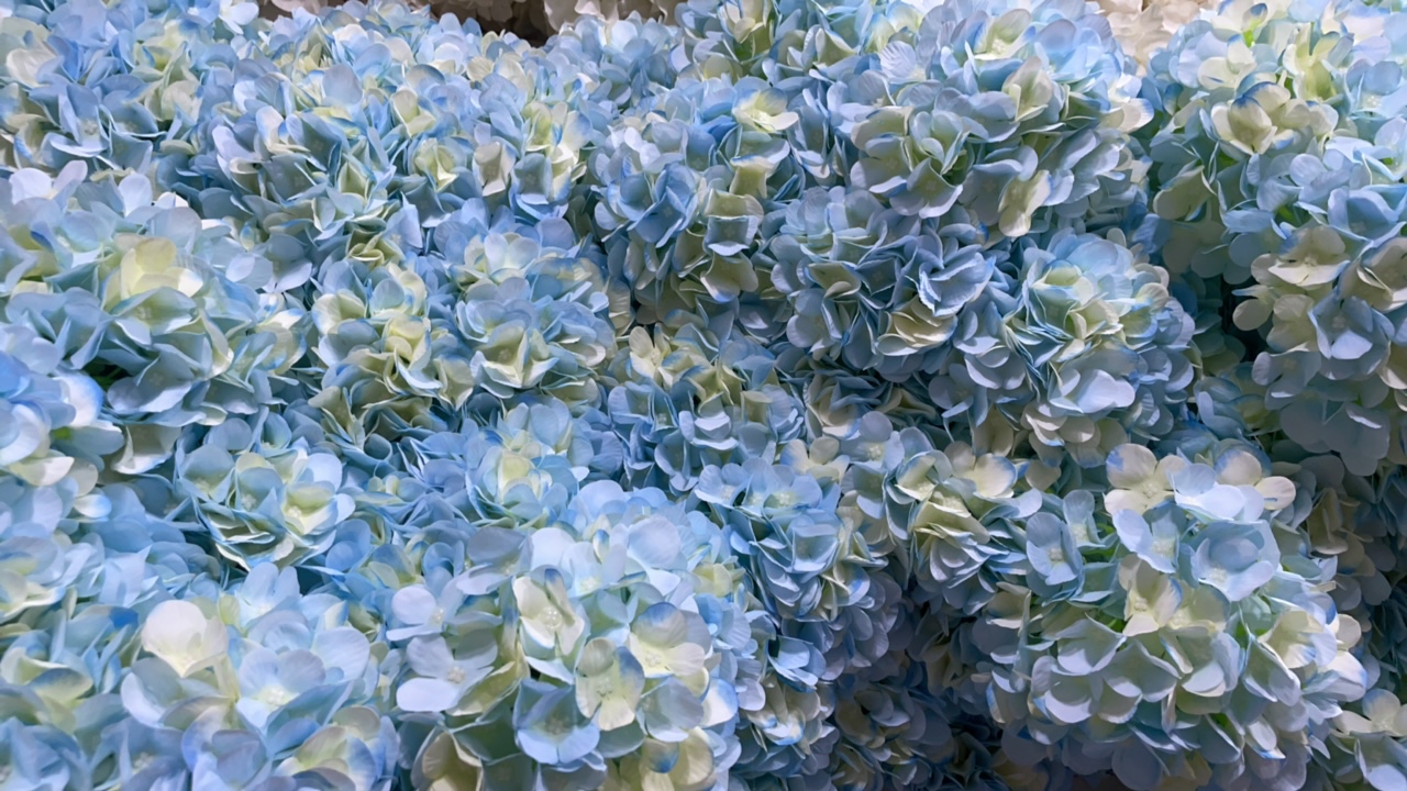 仿真花对应编码下单600号到699