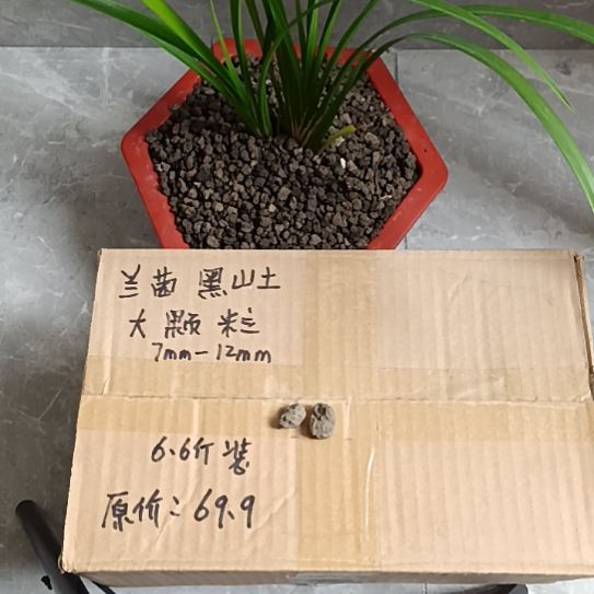 北***山兰菌黑山土大颗粒6.6斤