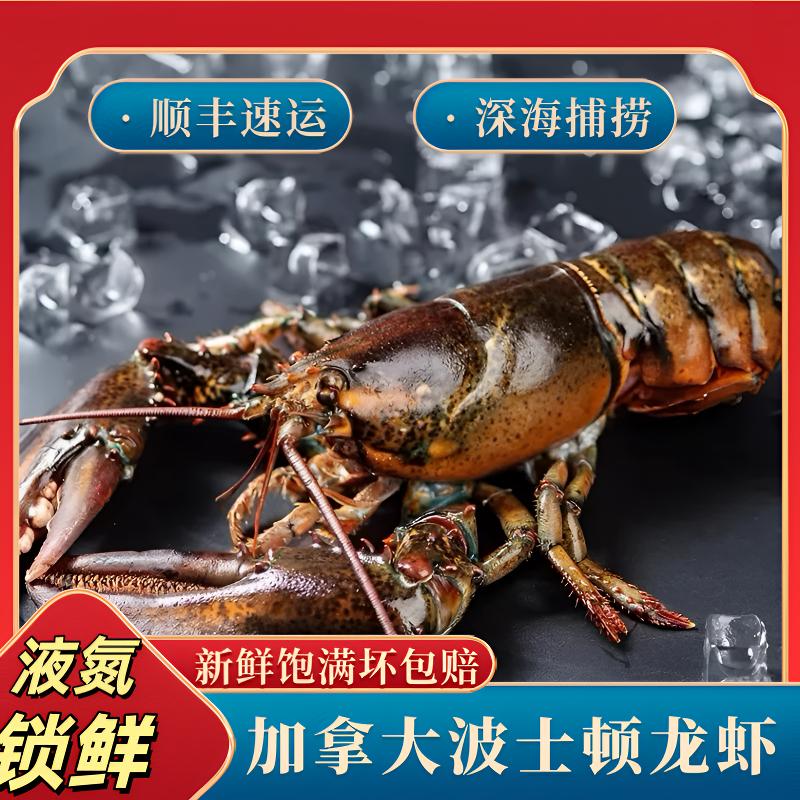 加拿大波士顿帝王蟹龙虾波龙活冻冰鲜顺丰包邮1-10斤宴请喜宴