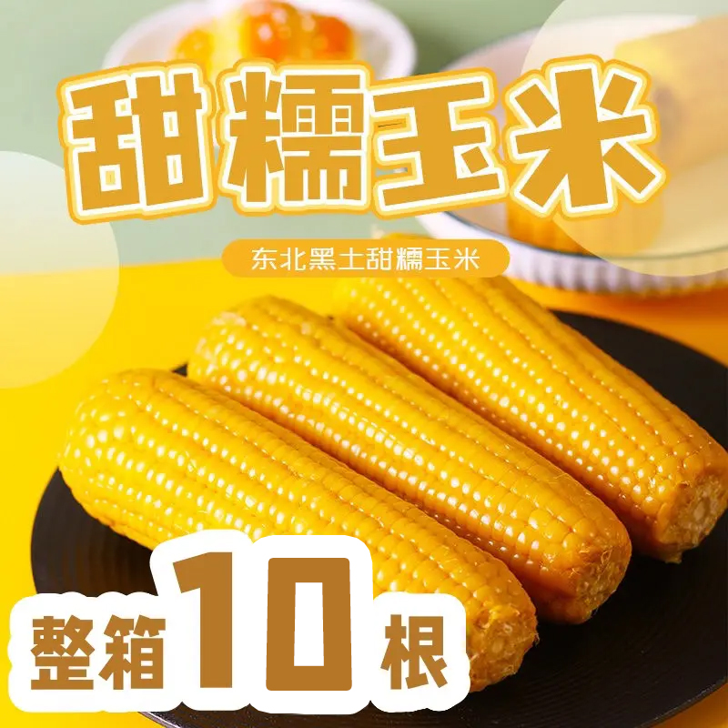 【试吃4根金铝黄糯10根】单棒210-250克头茬玉米软糯香甜5斤左右m商品图