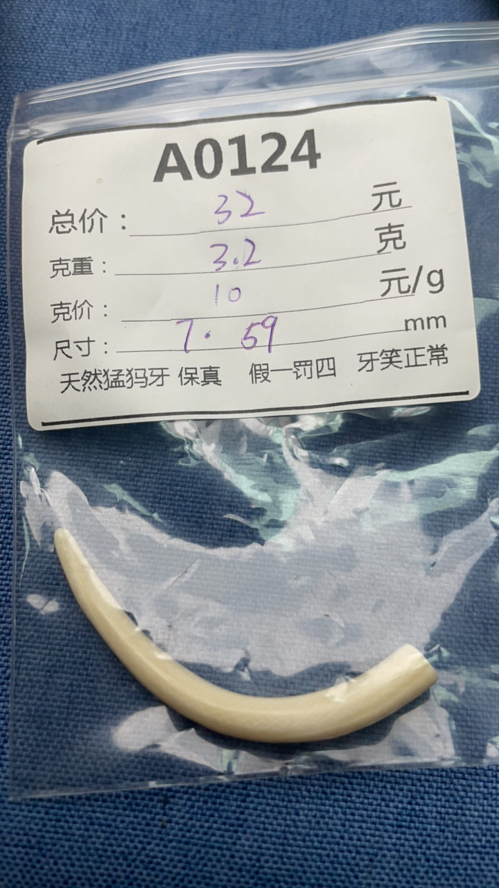 猛犸牙牙尖A0124