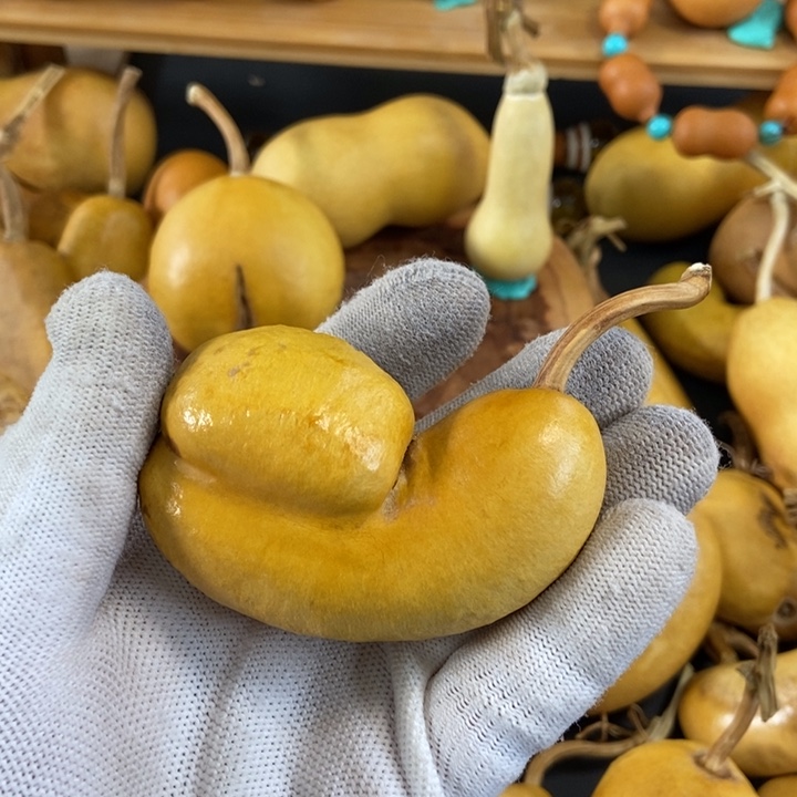 好**哥葫芦葫芦真的