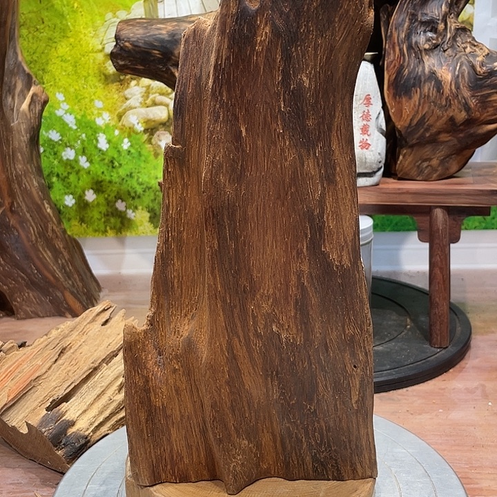 木每件都是自己的选择100