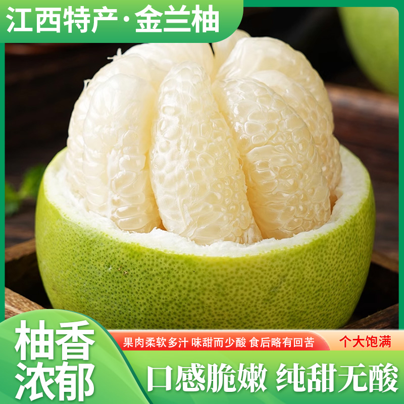 蜜柚金沙柚蚕子现摘现发当季皮薄脆甜多汁产地直发江西