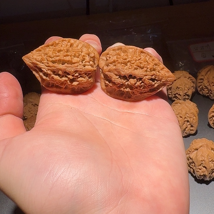十三陵鸡心十三陵鸡心