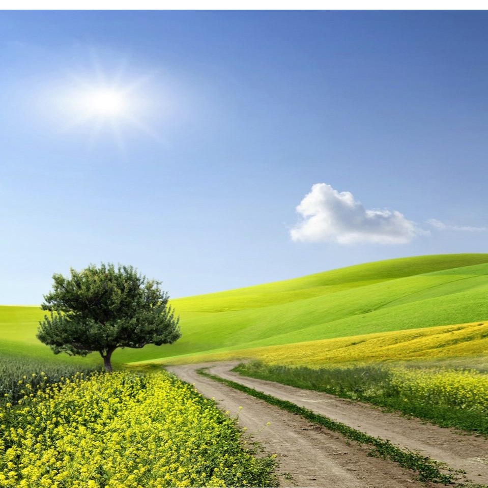 洋  新中式 桑蚕丝 连衣裙 34038