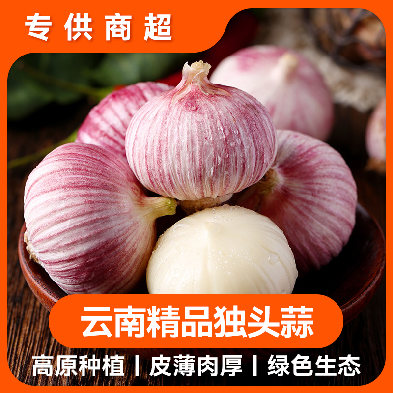 【云南干蒜】新品干蒜紫皮独头蒜新鲜大蒜红皮大蒜头香蒜独蒜中秋礼