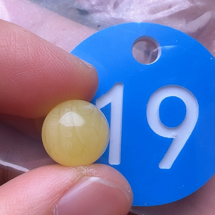 蜜蜡裸石未镶嵌10.7m m
