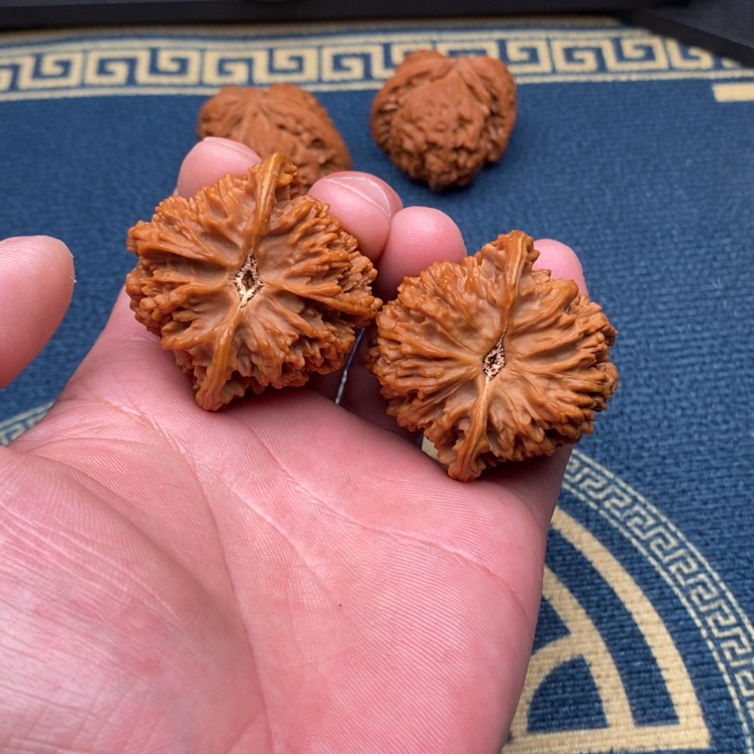 把件文玩核桃吃****?满天星44尺