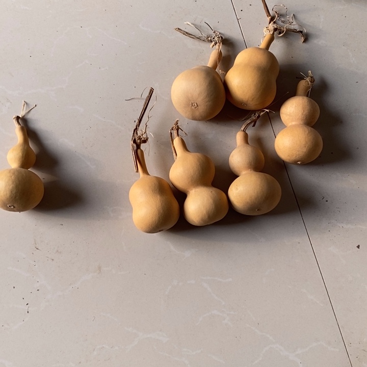 葫芦六个葫芦带一个瑕疵