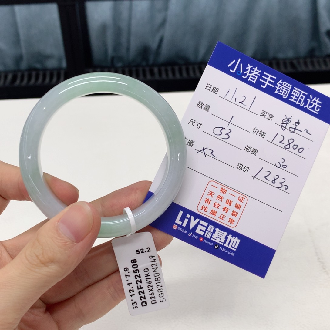 未镶嵌手镯翡翠尊****爪