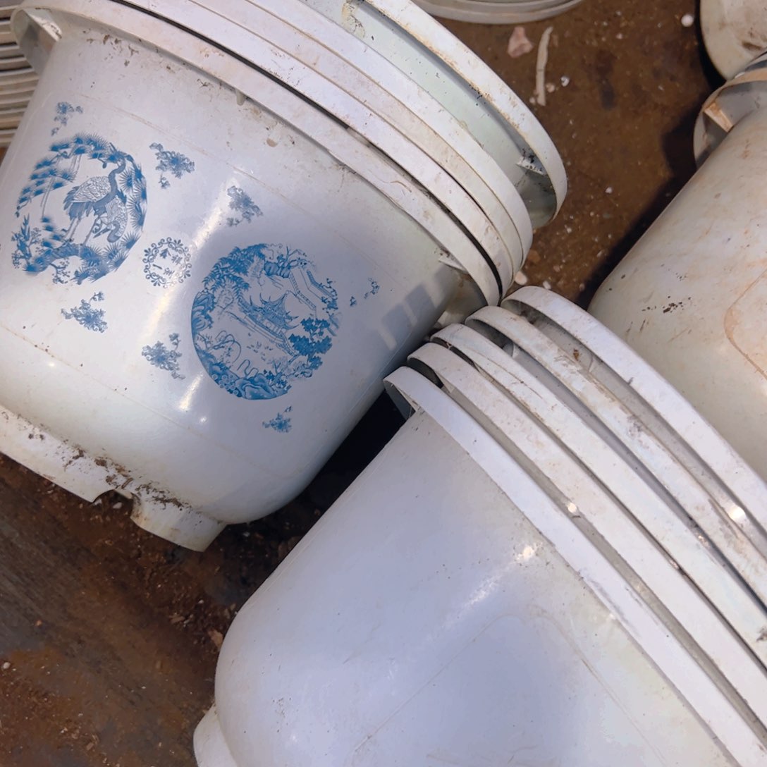 富贵花开盆23-24口径16高 5个