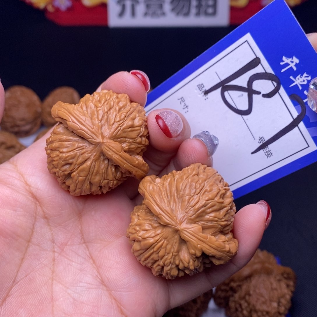 187号链接白狮子3.9尺00000