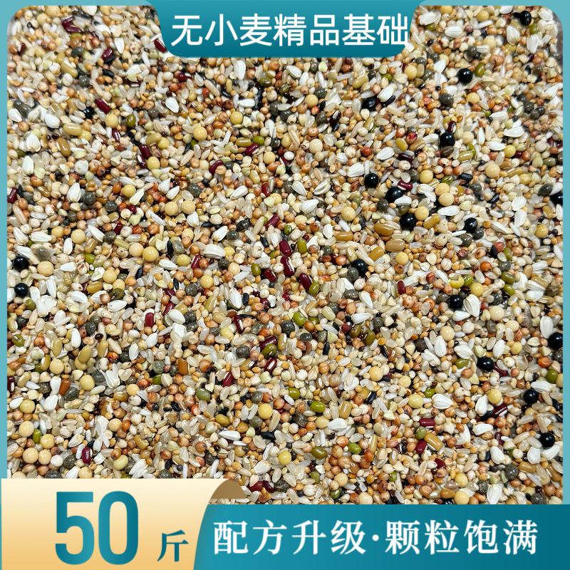 无小麦精品基础粮50斤营养料小嘴短嘴幼鸽赛鸽观赏鸽鸟食细粮包邮