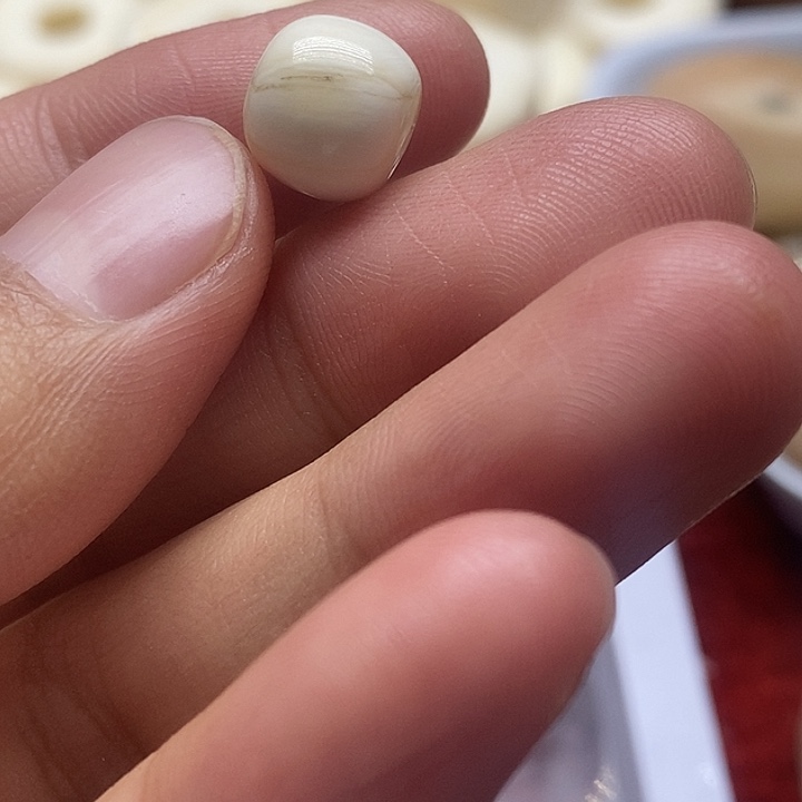 手串/手链贝壳10成9皮笑朱子