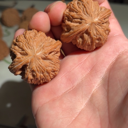 文玩核桃吊坠38磨盘