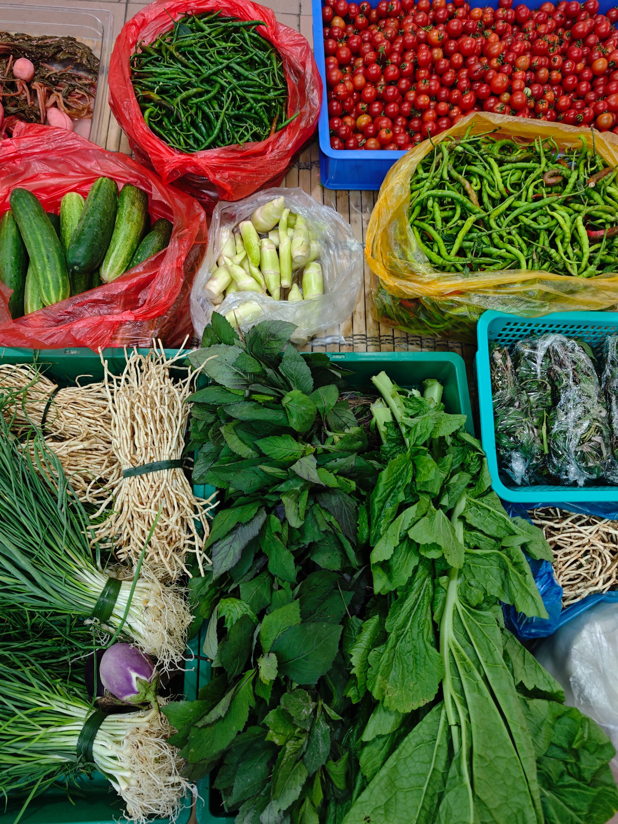 贵州新鲜本地蔬菜