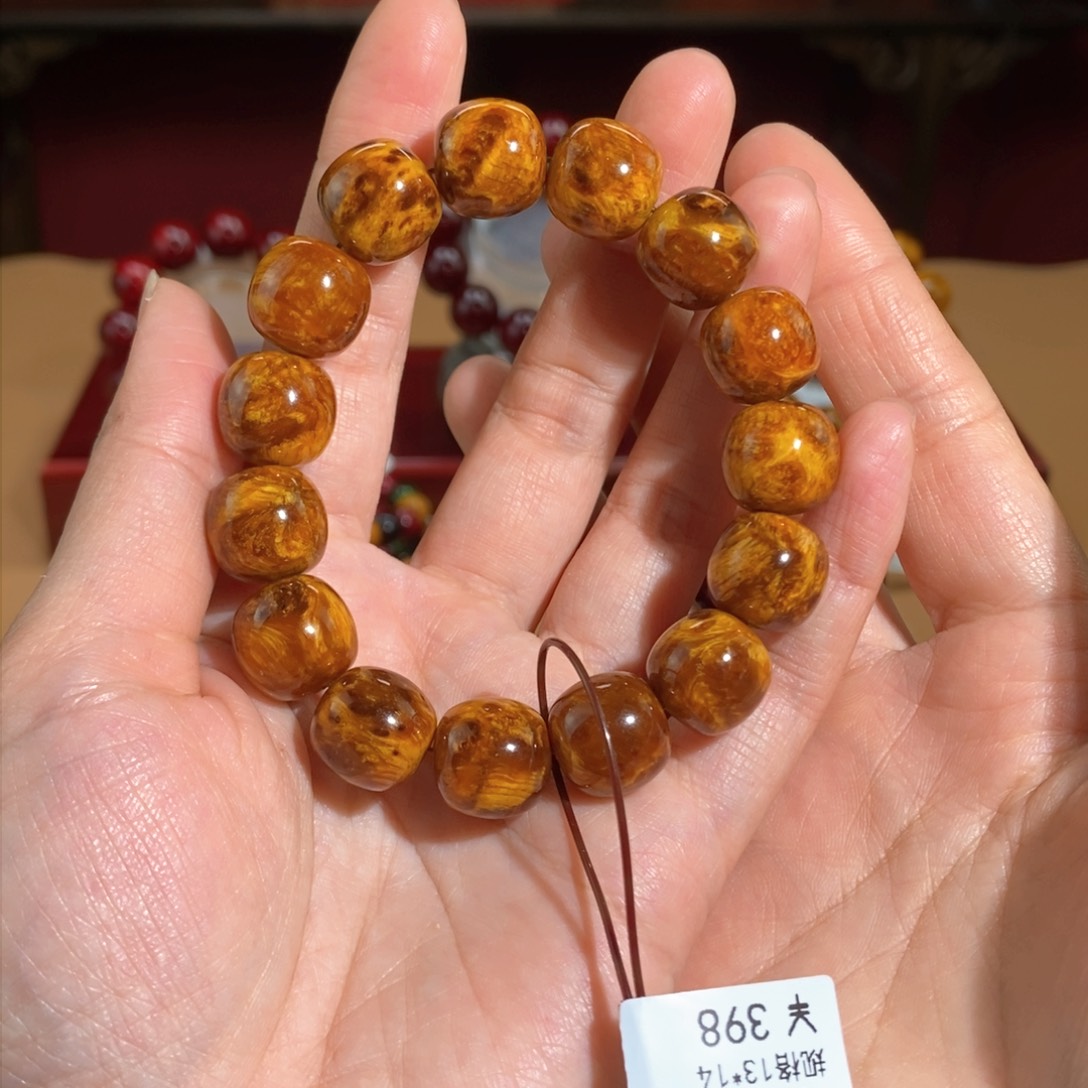 贝壳杉帝王血龙木1.3*1.4老型瘤疤