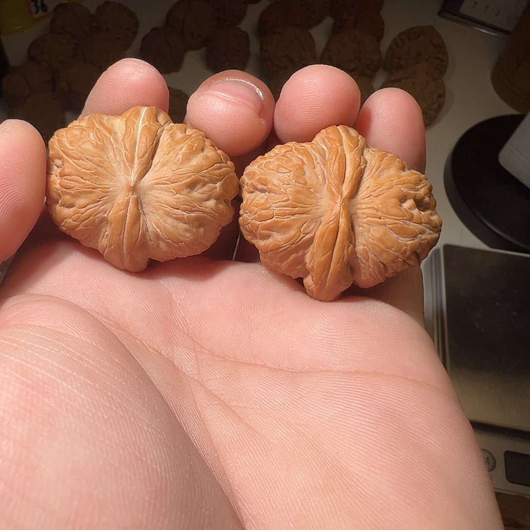 春***天猴头核桃吊坠文玩