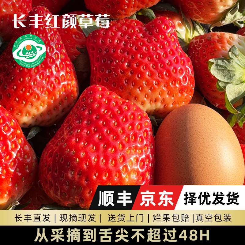 【直播间福利】长丰草莓红颜奶油99草莓顺丰包邮新鲜采摘
