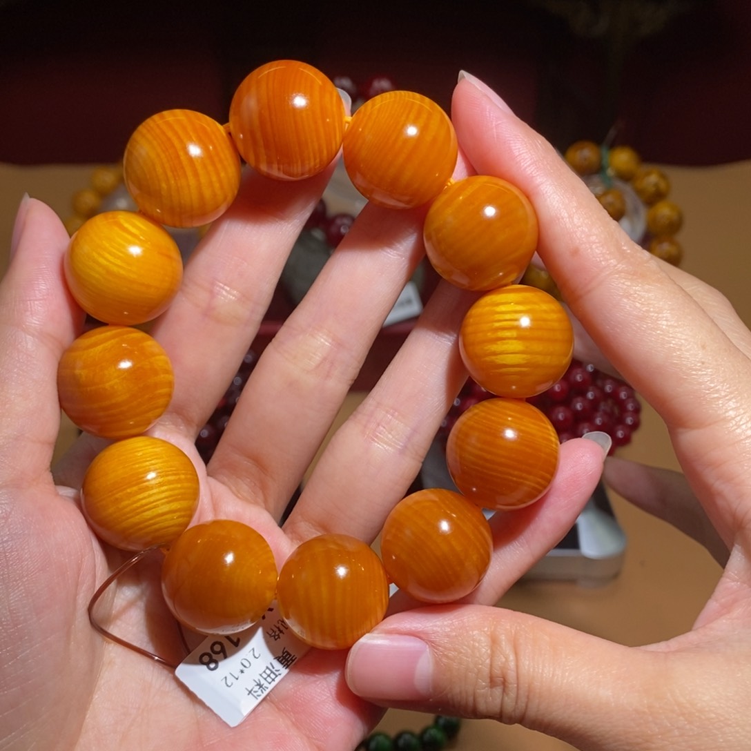 贝壳杉2.0 帝王血龙木金丝