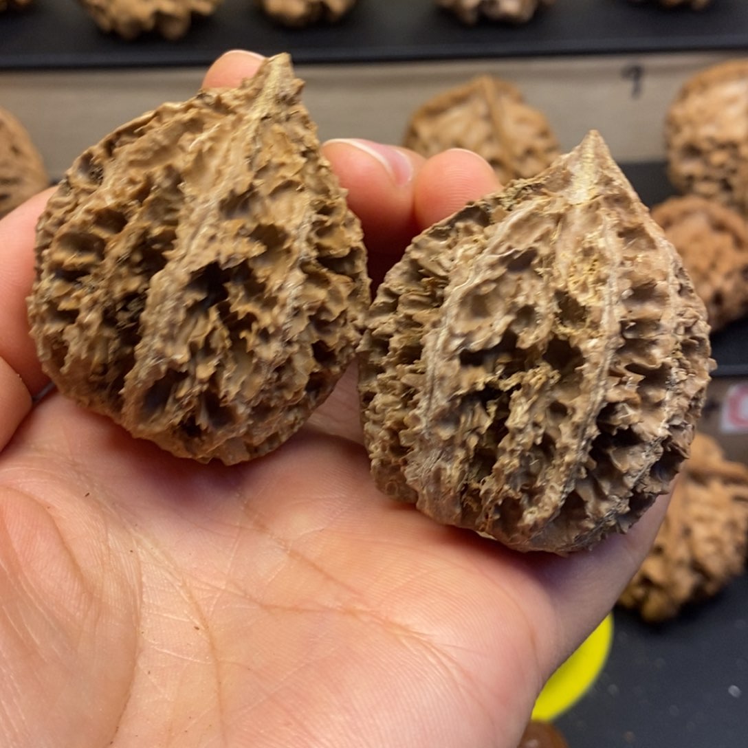 桃核吊坠秦岭菊花40