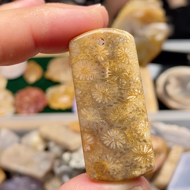 硅化珊瑚（珊瑚玉）手镯未镶嵌